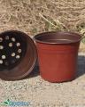 B2- Pack of 12 - Nursery Plastic Flower Plant Pots 5 x 5 inches. 
