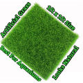 Artificial Grass - Real Feel American Grass 20Mm Grass mat / grass Floor Mat / artificial grass carpet / green grass Bath Room Mat / Entrance Mat. 