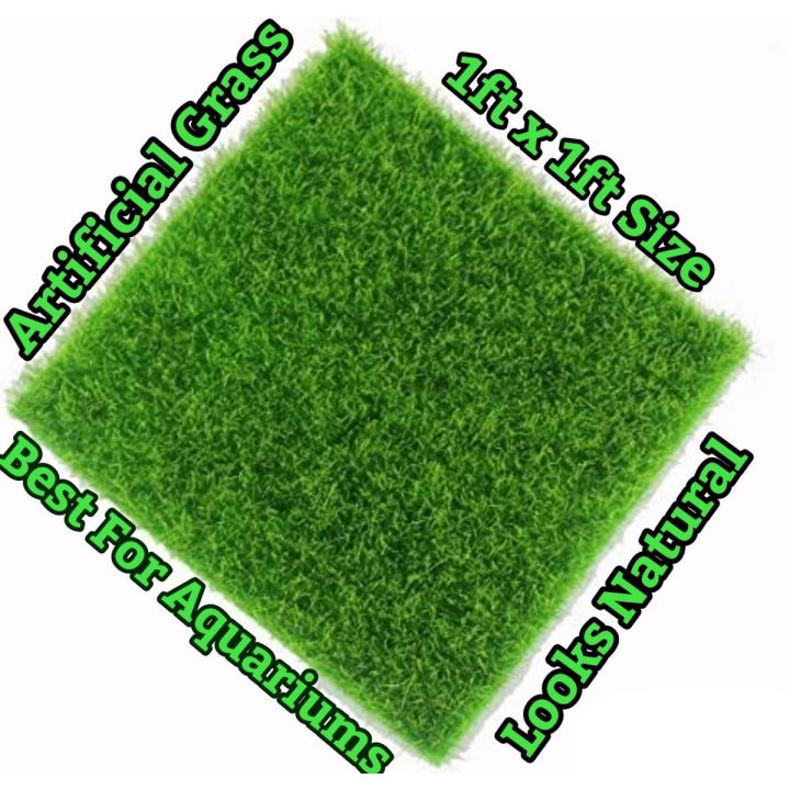 Artificial%20Grass%20-%20Real%20Feel%20American%20Grass%2020Mm%20Grass%20mat%20/%20grass%20Floor%20Mat%20/%20artificial%20grass%20carpet%20/%20green%20grass%20Bath%20Room%20Mat%20/%20Entrance%20Mat%20-%20Image%204