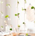 Set of 8 Hanging Glass Vases for Home Decor | Rustic Rope Design | Housewarming Gift | Beautiful Gift Ideas for Home Decorations - Event Decore. 