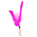 Pet Cat Playing Stick Feather Bell Replacement Head Scratch Interactive Toy. 