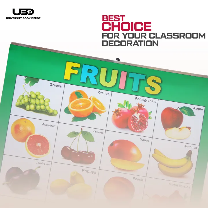 Pack%20of%204%20Wall%20Charts%20for%20Classrooms%20and%20Preschool%20Decoration%20%7C%20Wall%20Posters%20For%20Kids%20Early%20Education%20with%20HD%20Pictures%20on%20200%20grams%20Laminated%20Card%2020*30%20inches%20-%20Image%204