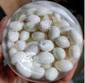 Vitamin E Whitening Capsules 20 Piece Pack. 