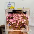 Handmade DIY Tulip Flower Sea Rubik's Cube Three-dimensional Mirror Night Light Full Set of Material Packages Creative Gifts for Friends. 