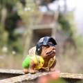 Universal Car Interior Decoration Pubg Bull Dog With Cloths and Welding Hat Hanging Car PittBull 1 Pc. 