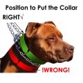 XINQIUS Dog Prong Training Collar, Metal Choke Pinch Dog Collar with Comfort Tips. 