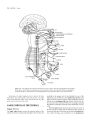 Mini Snell | Clinical Anatomy: An Illustrated Review With Questions and Explanations. 