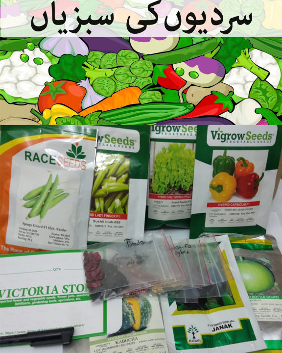 10 Packs of F1 Hybrid  Winter Vegetables Seeds by Victoria Store