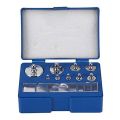 17 Pcs Calibration Weights Set, 10Mg-100G Grams Weights Calibration, Precision Steel Calibration Weight Kit. 