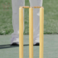 Ball Hitting Wicket For Cricket, 1 Base Stand 2 Bails. 
