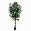 Imported artificial Ficus tree with black Planter. 