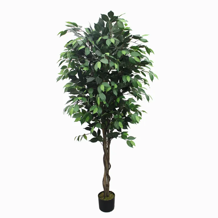 Imported%20artificial%20Ficus%20tree%20with%20black%20Planter%20-%20Image%207