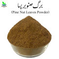 Barge Sanober Powder 50gm برگ صنوبر پسا - Pine Nut Leaves Dry Powder - Chilgozay Ke Patty Pissay - 100% Original, Pure - Barg e Snober Pissa 50 grams by Herbisol. 