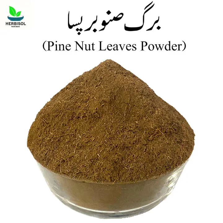Barge%20Sanober%20Powder%2050gm%20%D8%A8%D8%B1%DA%AF%20%D8%B5%D9%86%D9%88%D8%A8%D8%B1%20%D9%BE%D8%B3%D8%A7%20-%20Pine%20Nut%20Leaves%20Dry%20Powder%20-%20Chilgozay%20Ke%20Patty%20Pissay%20-%20100%25%20Original,%20Pure%20-%20Barg%20e%20Snober%20Pissa%2050%20grams%20by%20Herbisol%20-%20Image%202