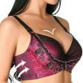 Classic Paded Bras for Women - Ladies Bras Casual Bras for Girls and women. 