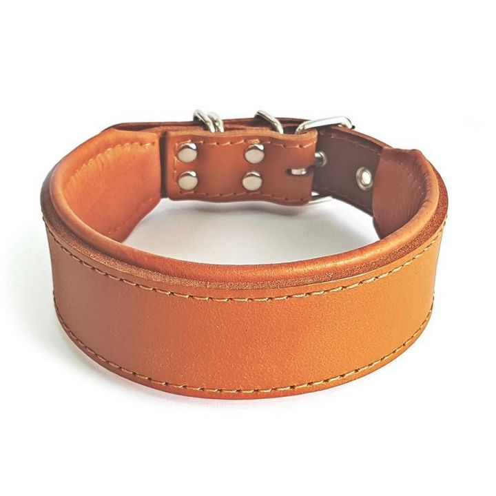 2 'Inch Wide Dog Large Leather Collar