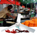 bellylady 12V Dc Low Voltage Stepless Speed Adjustment Mini Ceiling Fan for Keeping Away Flies. 