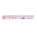 【FUN LIVE】 Cute Cat Paw Plastic Straight Rulers Kawaii School Office Supplies Planner Accessories Student Prize. 