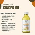 Ginger Oil (250 ml) Cold Pressed - Edible, Pure & Organic - (Unrefined) - Pakistan Pansar. 