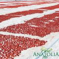 Organic Sun Dried Tomatoes Julienne Cut by Pure Anatolia - Sundried Tomato, No Sugar Added, USDA Certified, No Preservatives, Kosher & Halal,  300gm,. 