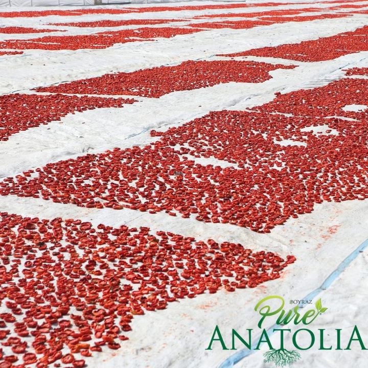 Organic%20Sun%20Dried%20Tomatoes%20Julienne%20Cut%20by%20Pure%20Anatolia%20-%20Sundried%20Tomato,%20No%20Sugar%20Added,%20USDA%20Certified,%20No%20Preservatives,%20Kosher%20&%20Halal,%20%20300gm,%20-%20Image%205
