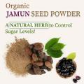 Jamun seed Powder – 100 gm - Purifies Blood, Anti-Diabetic, Heart Healthy & Rich In Vitamins. 