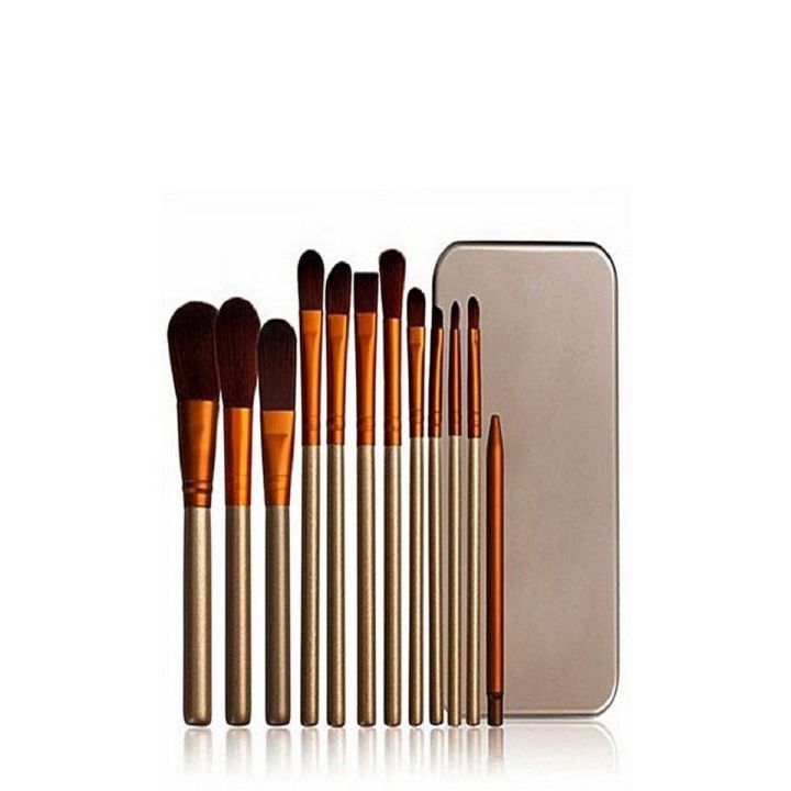 Makeup Brushes For Girls (Pack Of 12)