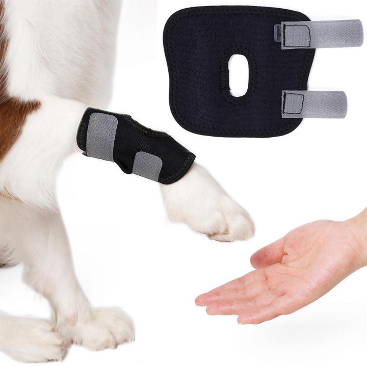 Pet Wound Bandage Dog Leg Brace l Self Adherent Wrap Prevent Pet Licking Wound 1PC Daraz.pk