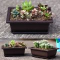 6-Piece Bonsai Pots-Classic Deep Wet Tray with Built-in Mesh-for Plants, Flowers, Herbs, Plastic Square Pots. 