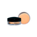 Christine Derma X - Shade CN-38. 