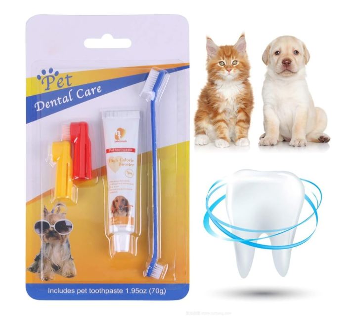 Professional%20Supplier%20Double%20Sided%20Silicone%20Dogs%20Pet%20Dental%20Care%20Kit%20with%20Finger%20Toothbrushes%20and%20Toothpaste%20China%20Pet%20Dental%20Care%20Kit%20and%20Pet%20Toothbrush%20Toothpaste%20-%20Image%202