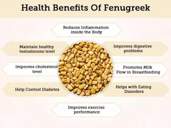 300+%20Methi%20/%20Fenugreek%20Vegetable%20Seeds%20-%20High%20Germination%20Rate%20-%20Image%206