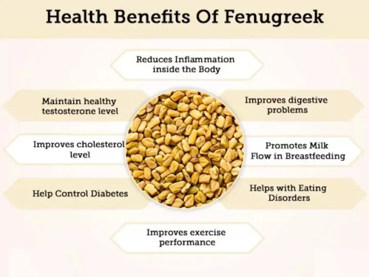 300+%20Methi%20/%20Fenugreek%20Vegetable%20Seeds%20-%20High%20Germination%20Rate%20-%20Image%206