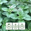 Organic Way Dried Oregano Leaf Powder 120g (Origanum Vulgare) - European Wild-Harvest. 