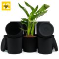 🌿 Fast Forward 6-Inch Plastic Planter Pots – Cylindrical Stylish, Durable & Plant-Friendly with Drainage & Seamless Saucers!. 