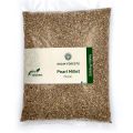 Grain Forests Organic Bajra Whole Grain 1kg (Pearl Millet). 