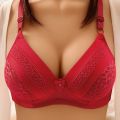 Non Wired Brazier for Women Plain Foam Padded Lifting Bras for Girls with Adjustable Straps and Back Closure for B and C Cups. 