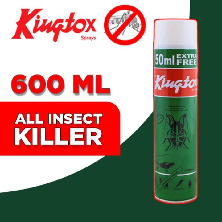 Kingtox All-Insect Killer Spray 600ml – Fast-Action & Long-Lasting ...