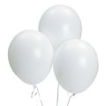 Silver And White Birthday Party Decorations For Women, Adult Girl Favorite Party Decoration Kit Including A Party Supply With Light Strings. 