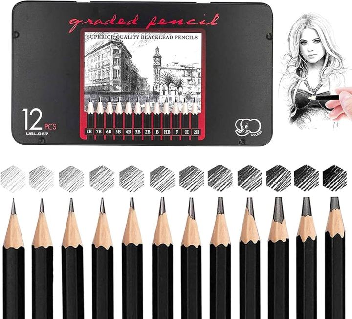 Professional Sketch and Drawing pencils set,Art Pencil 12-Count(8B-2H) Drawing/Sketching Pencil Set