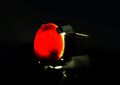 Natural Unheated Untreated Blood Red Aqeeq Mens Ring Sterling Silver 925 Deep Red Agate Ring Handmade Carnelian Ring Pure Chandi Ring Hakik Ring Akik Ring Aqiq Ring Shifat Al Abad Ring. 