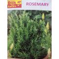 Rosemary Herb Seeds for Kitchen Gardening. 