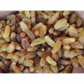 Sundharkhani Irani Kishmish 500 Grams | Irani Mewa | Raisin Premium Quality  | Kishmish | Fresh kishmish. 