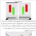 Crypto Trading Guide in Urdu Latest Urdu Book Best Analysis Patterns Trading Book in urdu. 