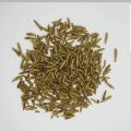 Black soldier flies Dried larvae (500 grams). 