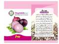 Onion Seeds ONION SWAT ONE SEEDS TOP QUALITY SEEDS By HMS Product. 