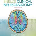 SNELLS CLINICAL NEUROANATOMY Original (9th Edition). 