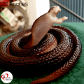 Realistic Artificial Rubber Snake - Big Size 50 Inch Fake Snake for Pranks & Toys - Perfect Rubber Snake Toy for Kids & Adults - Ideal for Fake Snake Pranks Daraz Pakistan. 