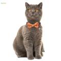 Halloween Cat Collar with Bow Tie and Bell Cats Charm Funny Comfortable for Boys and Girls Kittens. 