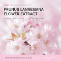 LAIKOU Japan Sakura Hand Soap Sheets Clean Soften Skin Even Skin Tone Brightening Nourish Hands Portable and Convenient. 